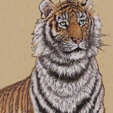 虎年生肖邮票来了！