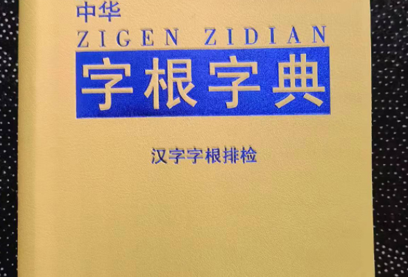 从一个字认识一串字 罗健团队编写《中华字根字典》