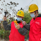 红视频丨双峰供电已累计开展35千伏线路防冻融冰专项特巡20余次