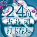 绝美！24句诗词道尽春色