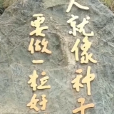 视频丨清明时节思袁老，“要做一粒好种子”