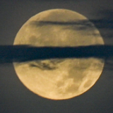 全球多地夜空满月升起