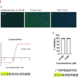 我国发现新冠新药并获专利！