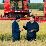 习近平：像保护大熊猫那样保护耕地