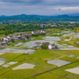 省农业农村厅：全员发力五果溜，打造乡村振兴示范村