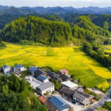 毛伟明主持省政府常务会议 部署重大项目建设、“两个统筹”督导服务机制等工作