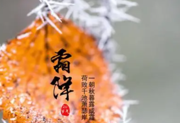 霜降至、天渐冷，深秋你的第一条秋裤穿上了吗？