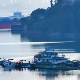 十年禁渔看长江 | 珍稀鱼类新生记