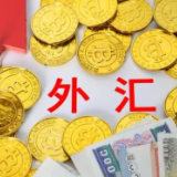 国家外汇管理局扩大跨境贸易投资高水平开放试点