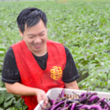 湖南消费帮扶助农增收 “八方助农”销售农产品53亿余元