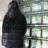 长沙：是真火！平台二手房成交单日超百套