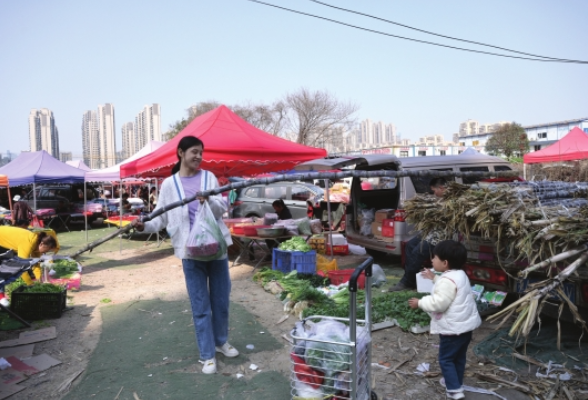 长沙有个地方，日期逢2或6赶集，小伙卖的辣椒很受欢迎