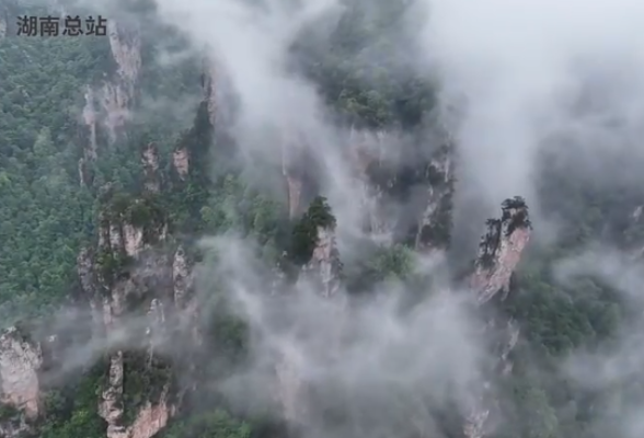 云雾缭绕山林苍翠 雨后武陵源宛若水墨丹青画