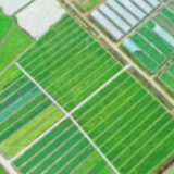 农村初中毕业生看过来!湖南乡村治理后备人才今年可以报考