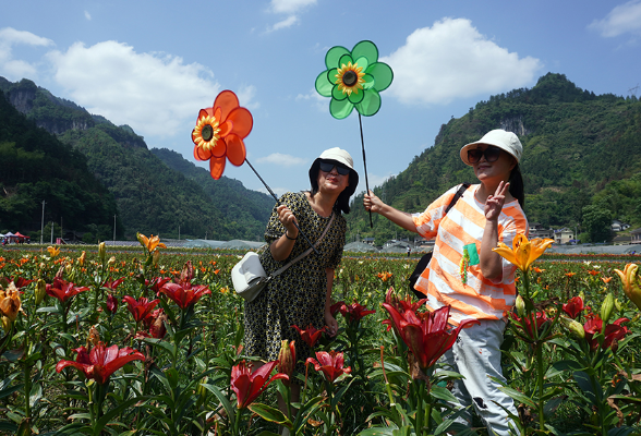 “花样”产业富乡村