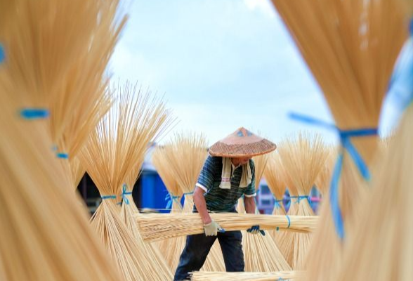 组图丨双峰：竹产业助力乡村振兴