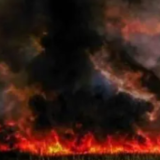 加拿大山火持续蔓延 仍有207起山火处于“失控”状态