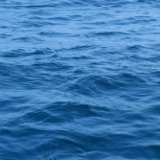 意大利海域发生移民船沉没事故 或有40人失踪