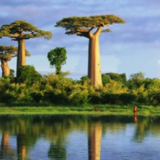 非洲·星光丨非洲第一大岛马达加斯加