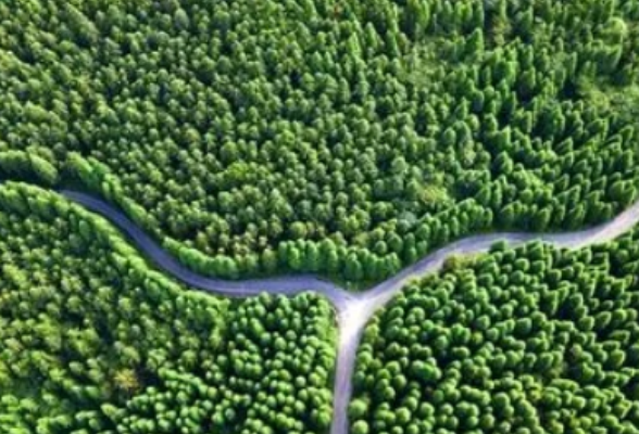 湖南省划定落实生态保护红线418.89万公顷