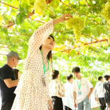 江山如画 丨“村企共建” 走出赋能乡村振兴“新路子”