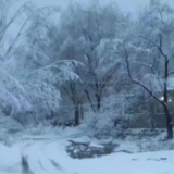 成功应对大范围低温雨雪冰冻天气 湖南打赢今年第一场“雪仗”