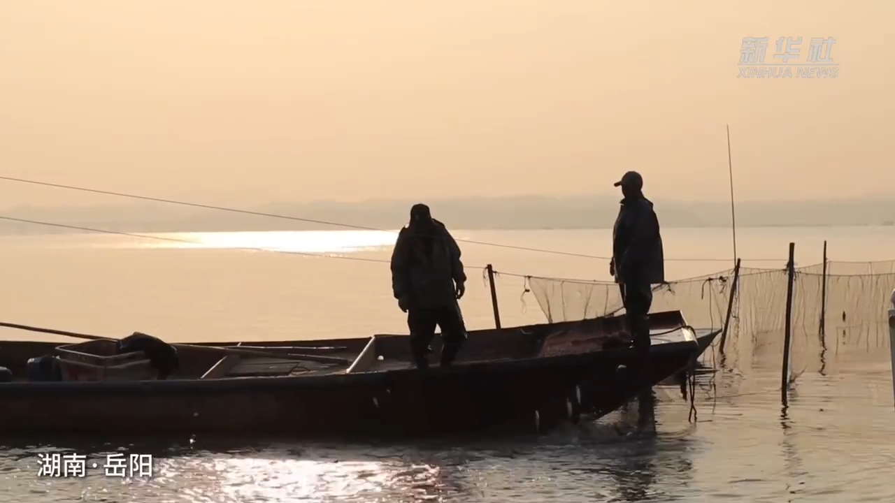 岳阳：芭蕉湖畔再现“起鱼”盛景