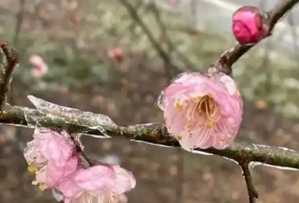 下雪！冷空气马上到湖南！