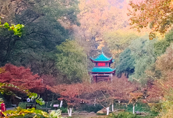 橘子洲、岳麓山元旦节门票今天开始预约！