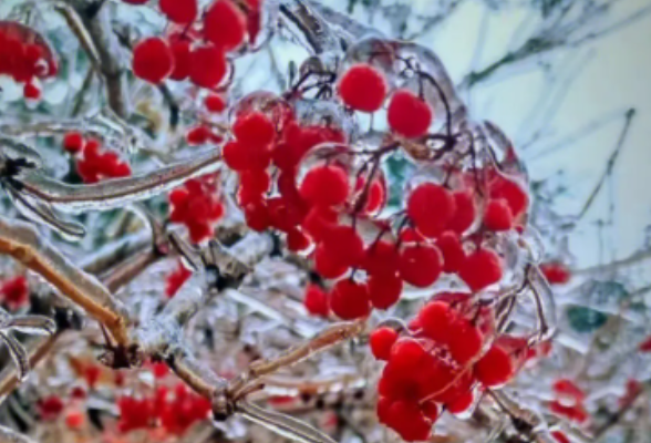 未来三天湖南大部冻雨持续 湘北有小到中雪