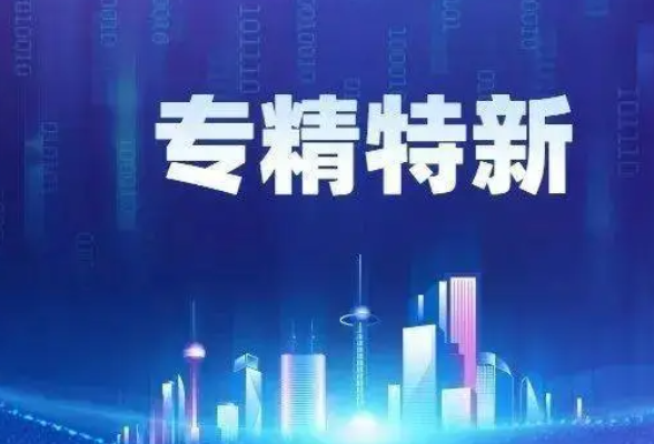 湖南今年力争新增800家省级及以上专精特新中小企业