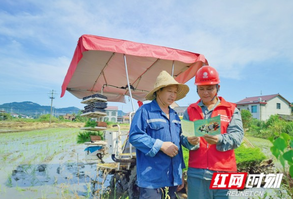 乡村振兴丨星明村来了新“明星”！“电气化”插秧被点赞