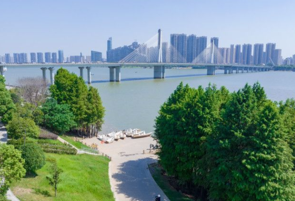 长沙：秋日好去处！裕湘纱厂水杉林正美