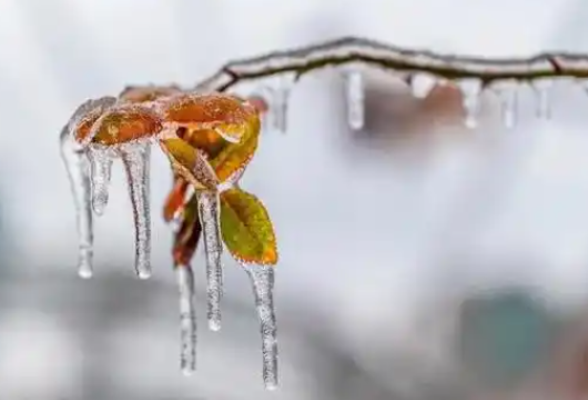 湖南全力防范应对低温雨雪冰冻天气