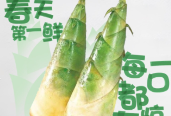 海报 | 春天吃什么？益阳人惊蛰时令鲜味指南