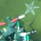 8919米！我国科学家首次探底雅浦海沟 成功采集深渊样本