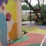 上海老旧小区改造荒地变花园 成网红打卡点