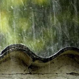 安全提示：雨季来临 确保户外活动安全