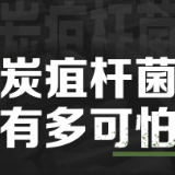 视频丨为什么北京特别报告一例肺炭疽 这种传染病有多可怕