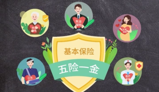 视频丨@职场新人 一个视频带你了解“五险一金” - 红视频