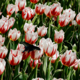 组图丨于明媚处,找寻内心的春天