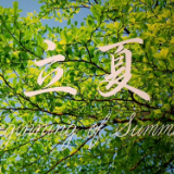 视频丨手书二十四节气有多美 每一张都可以当壁纸