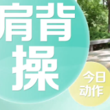 视频丨改善含胸驼背的肩背操