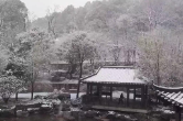 视频丨湖南多地迎今冬初雪