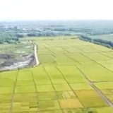 说说我们的新时代丨让每个人的日子拥有更多的可能