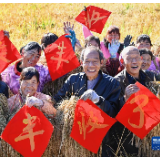 新华全媒+丨苏陕协作结硕果 优良水稻获丰收