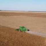 大型机械秋收整地“齐步走” 勾勒丰收好光景