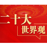 二十大·世界观：“中国将以自身发展更好地促进世界和平与发展”