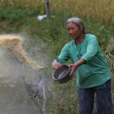 养好一条鱼 做优一粒米 种好一根瓜 ——苗寨夜话产业振兴