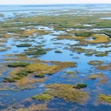 江河奔腾看中国丨莫莫格湿地：河湖连通 打造生态活水网
